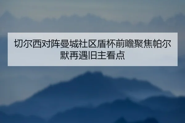 切尔西对阵曼城社区盾杯前瞻聚焦帕尔默再遇旧主看点